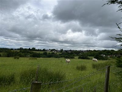 Picture 24